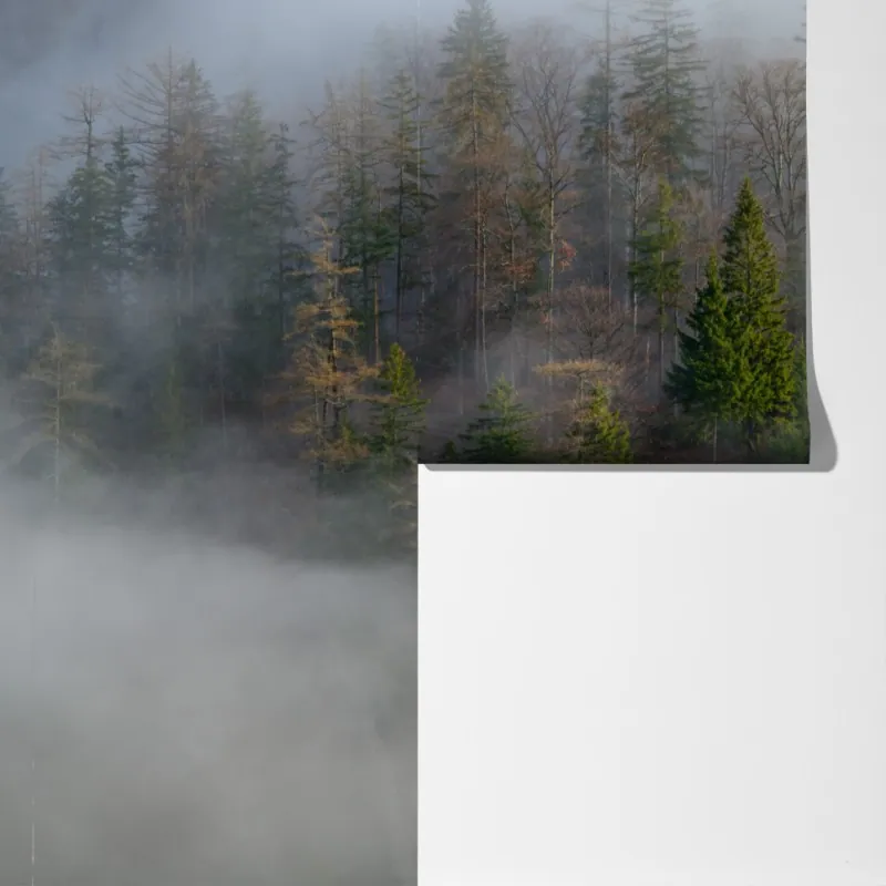 Fototapeta mglisty górski las – Wallissimo® Fototapeta mglisty górski las – Wallissimo®