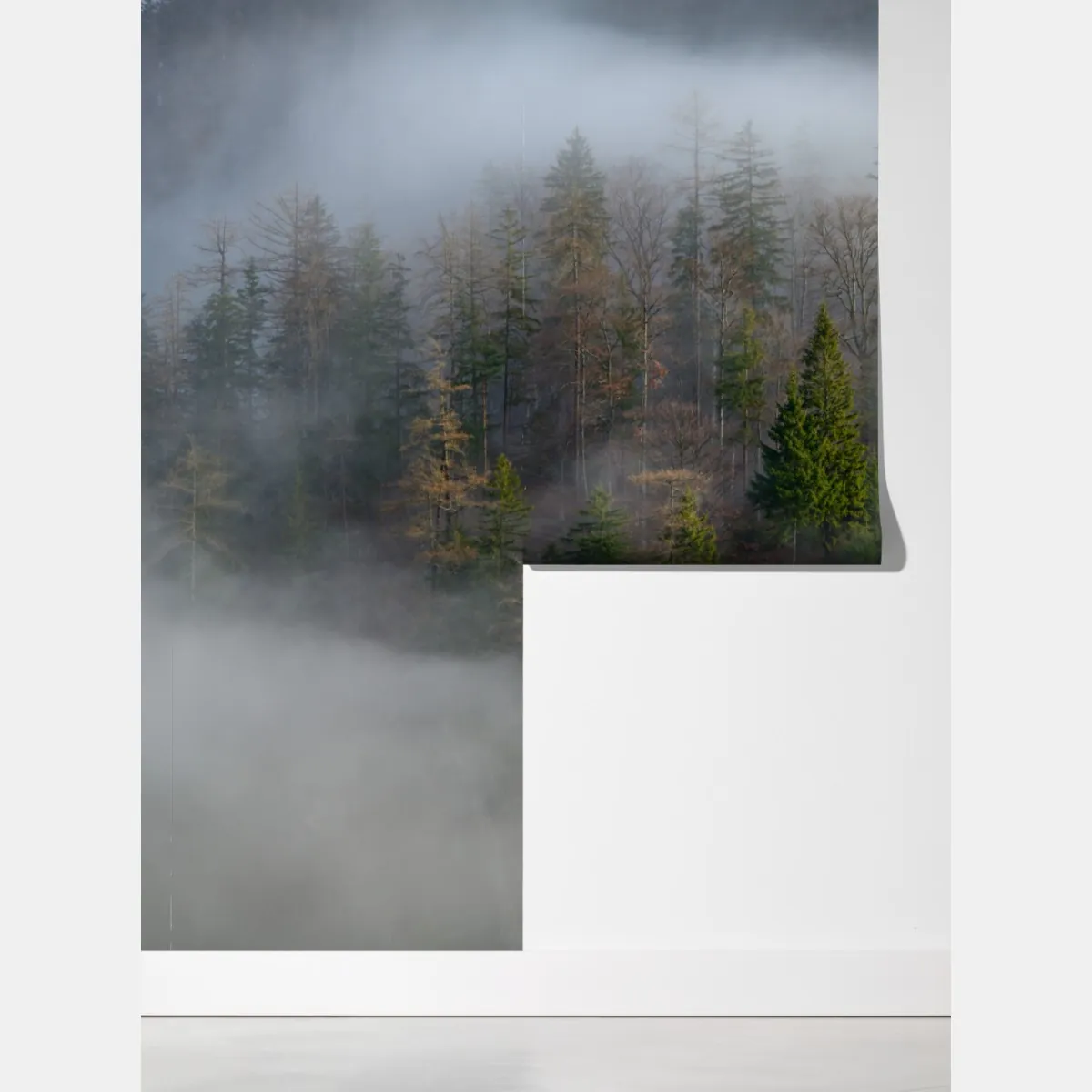 Fototapeta mglisty górski las – Wallissimo® Fototapeta mglisty górski las – Wallissimo®