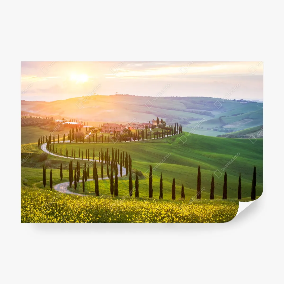 Fototapeta wschód słońca w Toskanii – Wallissimo® Fototapeta wschód słońca w Toskanii – Wallissimo®