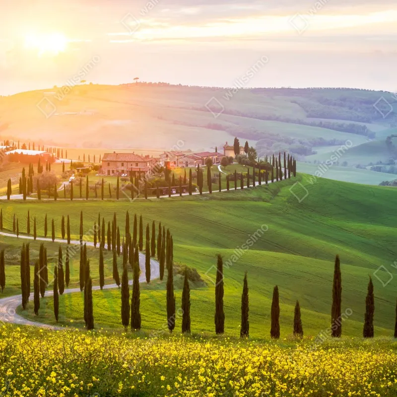 Fototapeta wschód słońca w Toskanii – Wallissimo® Fototapeta wschód słońca w Toskanii – Wallissimo®