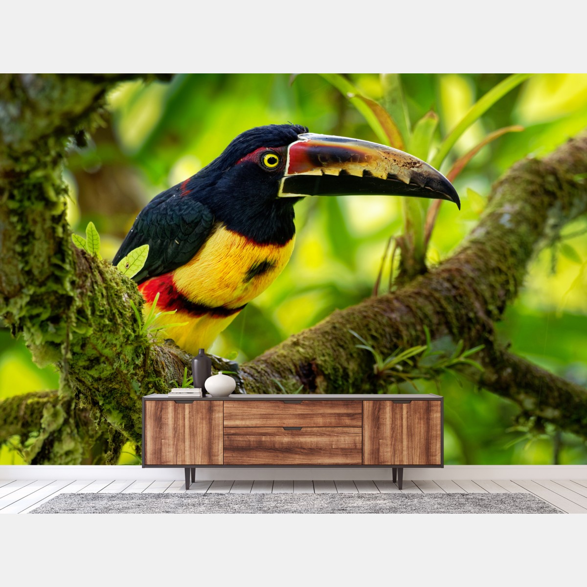 Wall mural vibrant collared aracari in tropical foliage