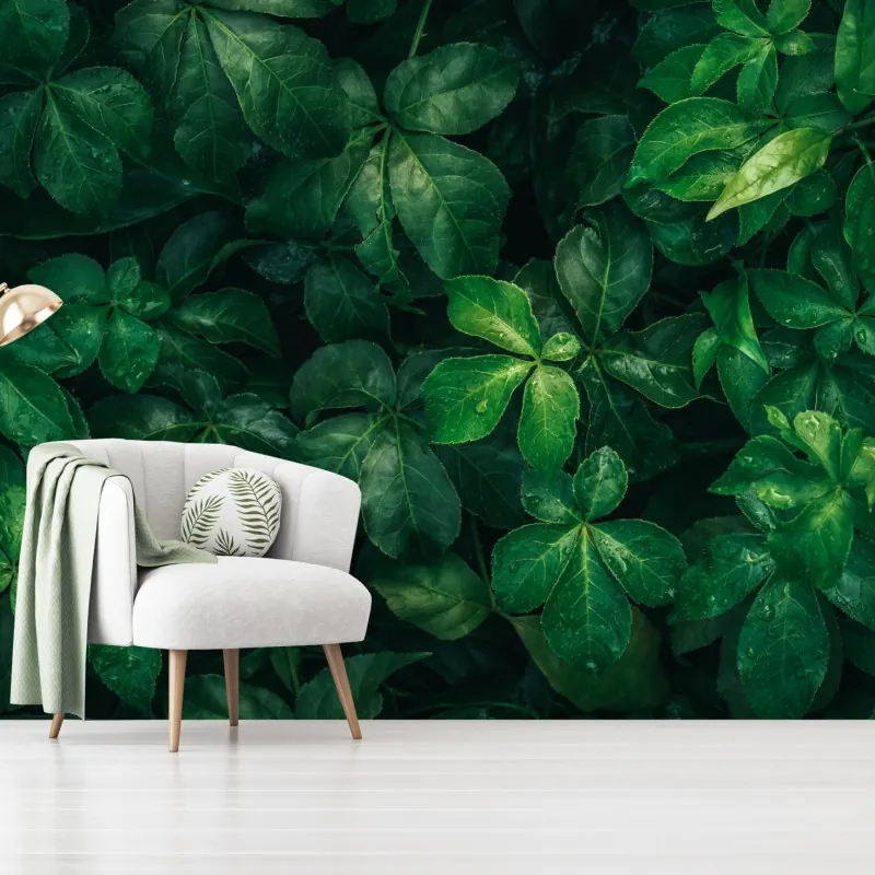 Fototapeta bujne tropikalne zielone liście