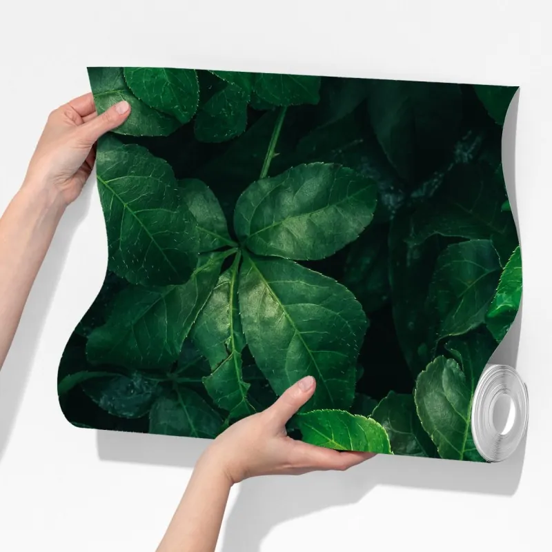 Fototapeta bujne tropikalne zielone liście – Wallissimo® Fototapeta bujne tropikalne zielone liście – Wallissimo®