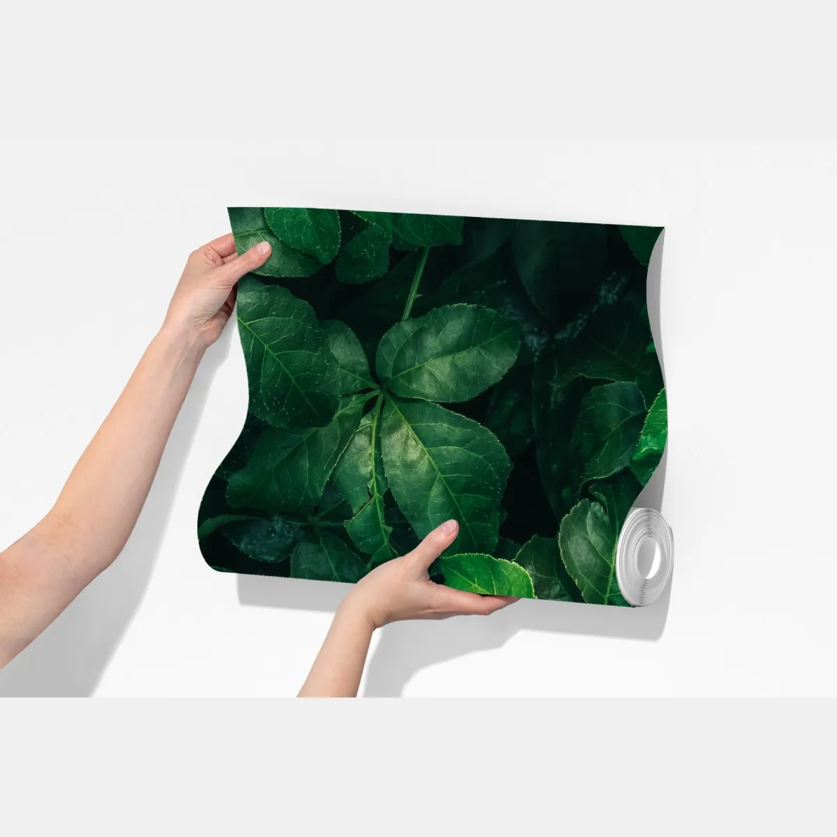 Fototapeta bujne tropikalne zielone liście – Wallissimo® Fototapeta bujne tropikalne zielone liście – Wallissimo®