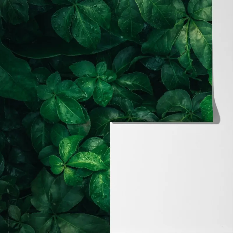 Fototapeta bujne tropikalne zielone liście – Wallissimo® Fototapeta bujne tropikalne zielone liście – Wallissimo®