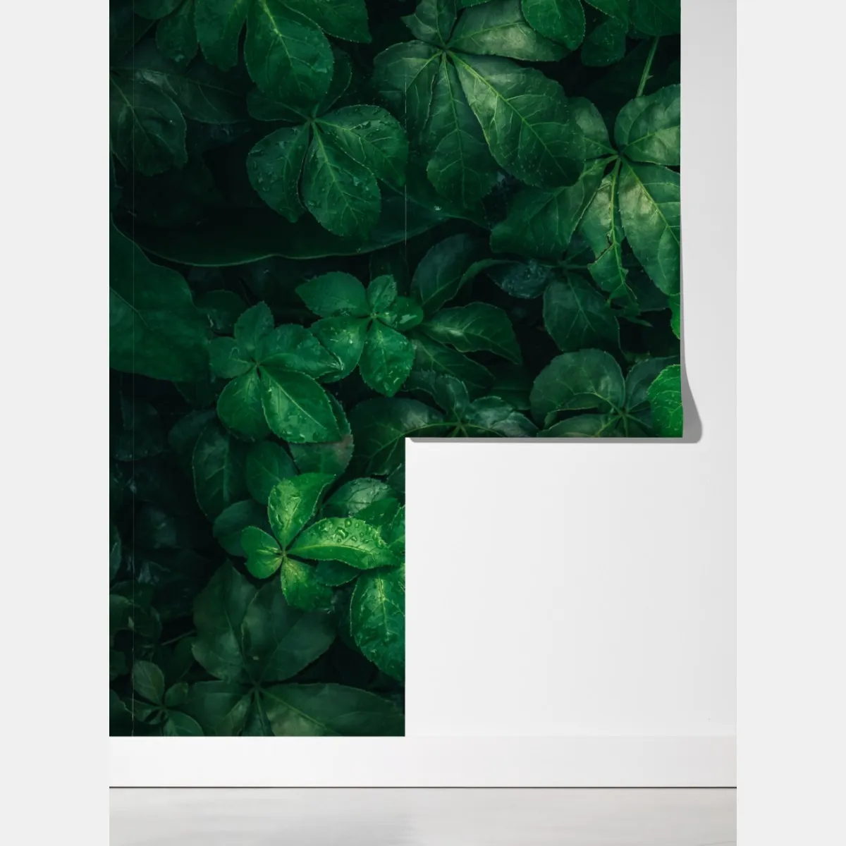 Fototapeta bujne tropikalne zielone liście – Wallissimo® Fototapeta bujne tropikalne zielone liście – Wallissimo®