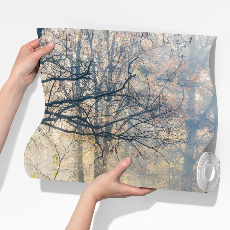 Fototapeta mglisty jesienny most z łabędziem – Wallissimo® Fototapeta mglisty jesienny most z łabędziem – Wallissimo®