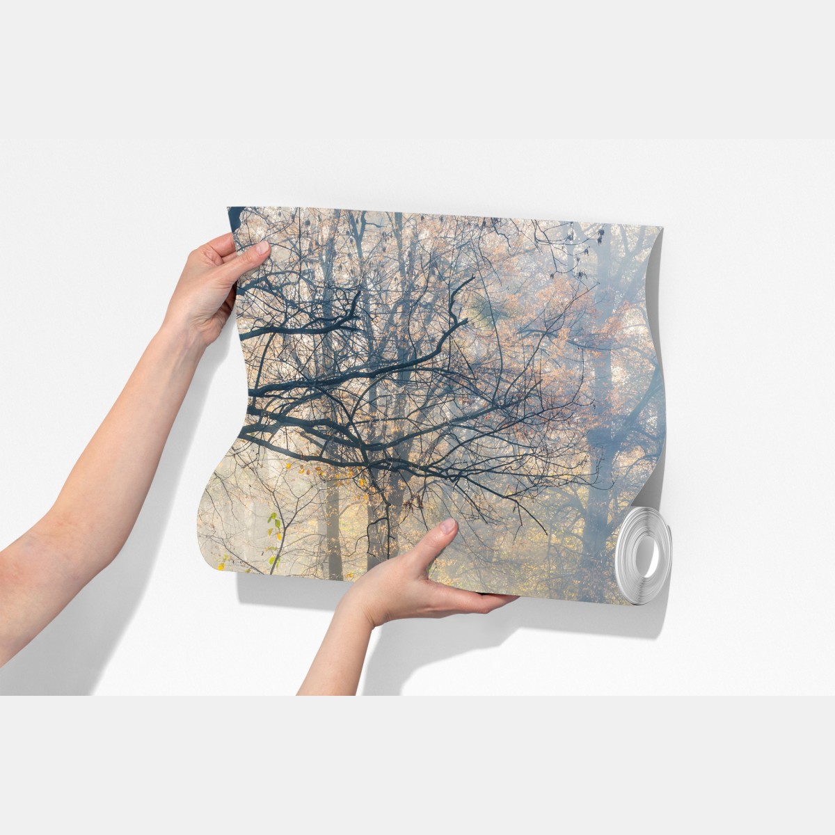 Fototapeta mglisty jesienny most z łabędziem – Wallissimo® Fototapeta mglisty jesienny most z łabędziem – Wallissimo®