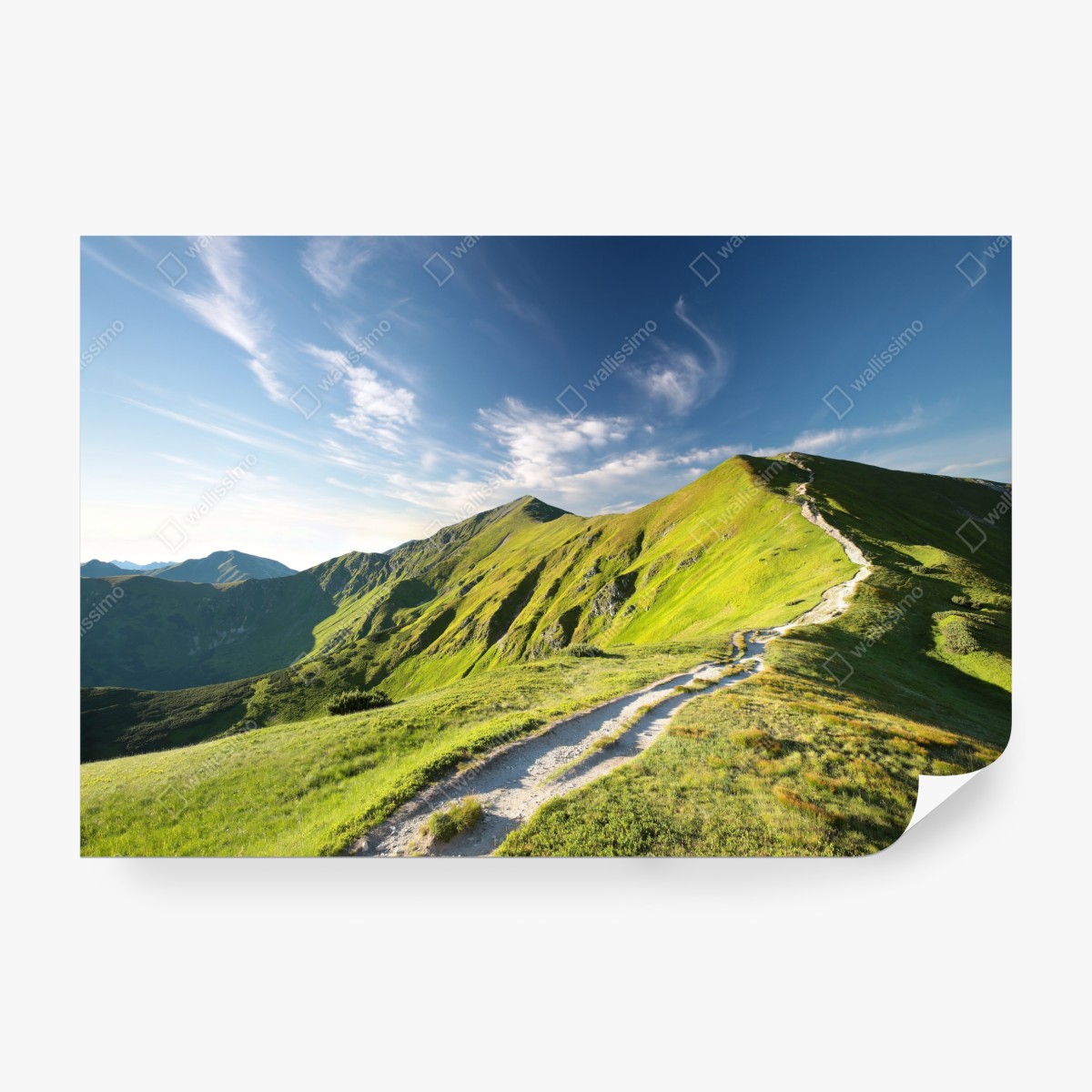 Fototapeta słoneczny grzbiet górski ze ścieżką – Wallissimo® Fototapeta słoneczny grzbiet górski ze ścieżką – Wallissimo®