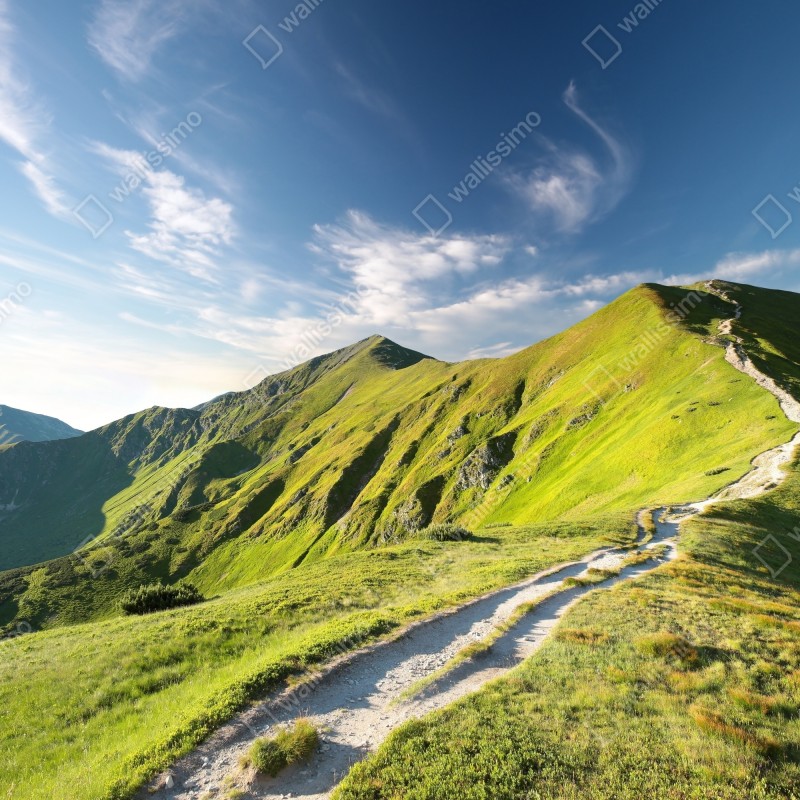 Fototapeta słoneczny grzbiet górski ze ścieżką – Wallissimo® Fototapeta słoneczny grzbiet górski ze ścieżką – Wallissimo®