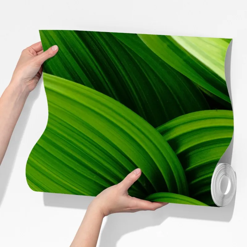 Fototapeta gęste zielone liście – Wallissimo® Fototapeta gęste zielone liście – Wallissimo®