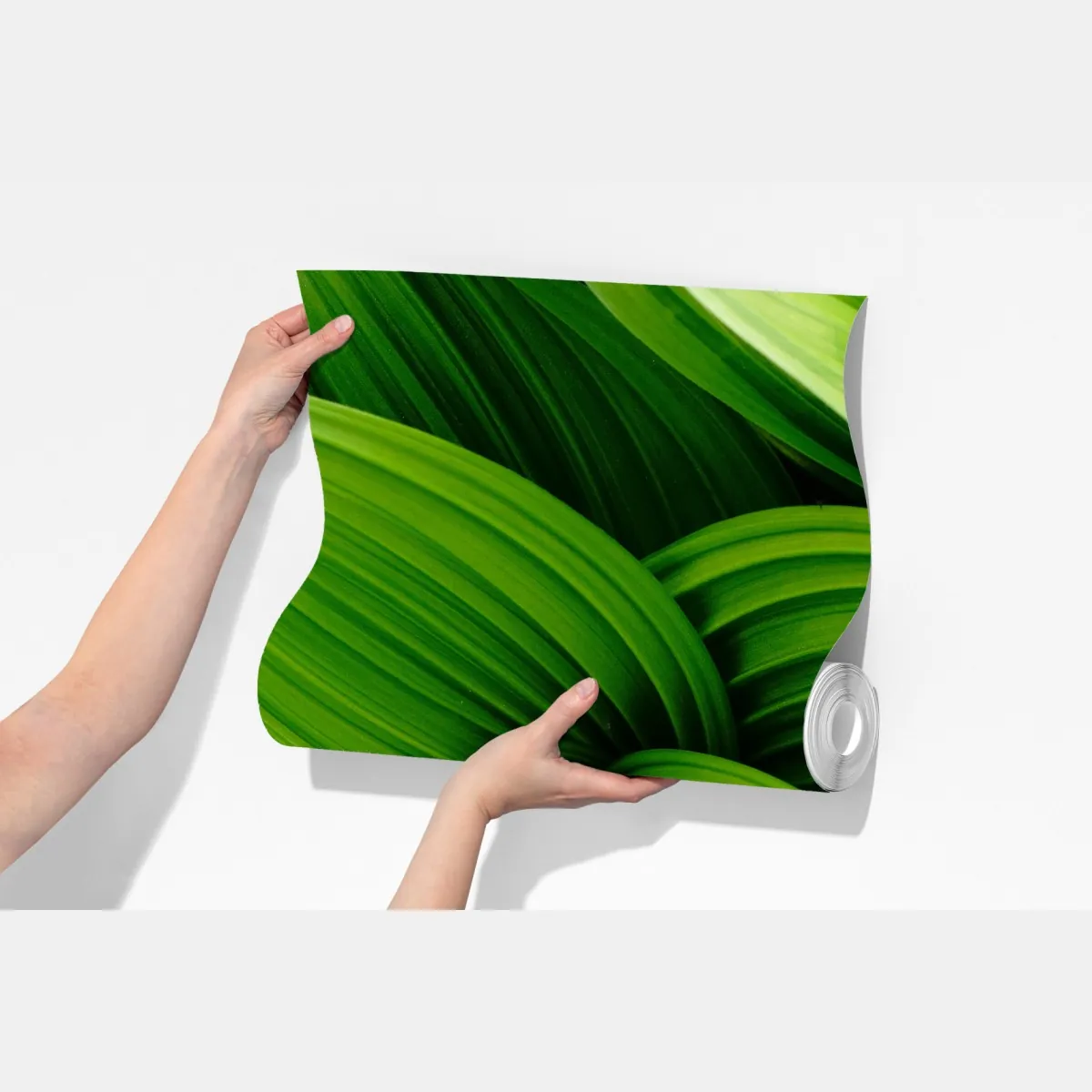 Fototapeta gęste zielone liście – Wallissimo® Fototapeta gęste zielone liście – Wallissimo®