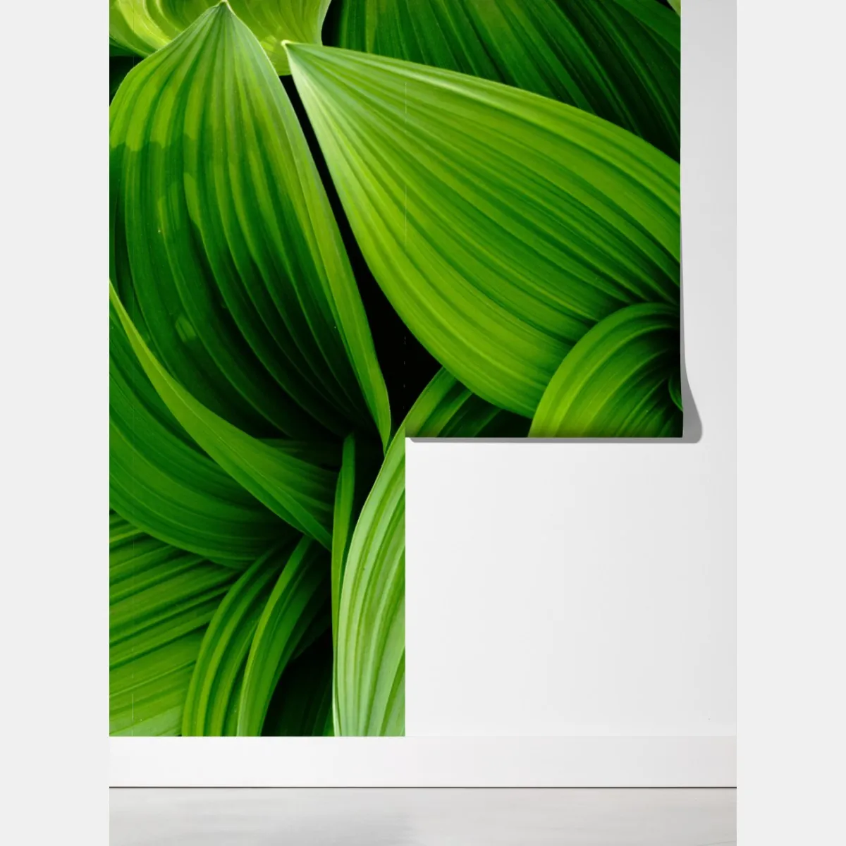 Fototapeta gęste zielone liście – Wallissimo® Fototapeta gęste zielone liście – Wallissimo®