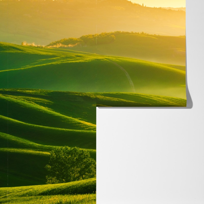 Fototapeta złoty wschód słońca nad zielonymi falującymi wzgórzami – Wallissimo® Fototapeta złoty wschód słońca nad zielonymi falującymi wzgórzami – Wallissimo®