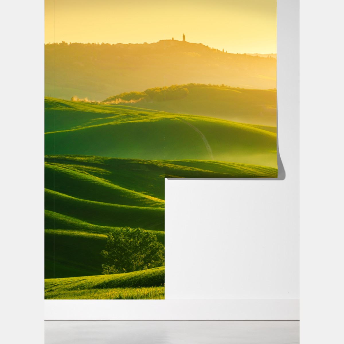 Fototapeta złoty wschód słońca nad zielonymi falującymi wzgórzami – Wallissimo® Fototapeta złoty wschód słońca nad zielonymi falującymi wzgórzami – Wallissimo®