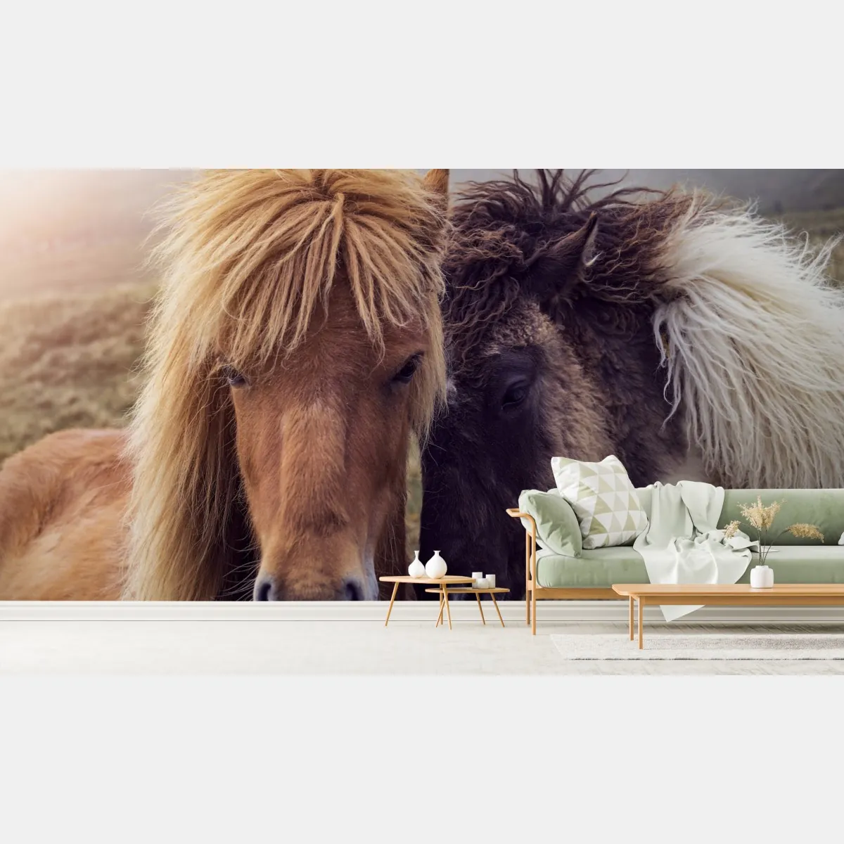 Fototapeta dwa konie na mglistym wzgórzu, Wyspy Owcze – Wallissimo® Fototapeta dwa konie na mglistym wzgórzu, Wyspy Owcze – Wallissimo®