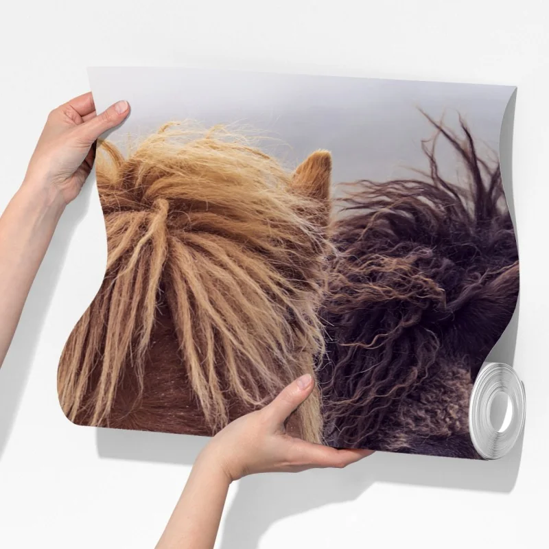 Fototapeta dwa konie na mglistym wzgórzu, Wyspy Owcze – Wallissimo® Fototapeta dwa konie na mglistym wzgórzu, Wyspy Owcze – Wallissimo®