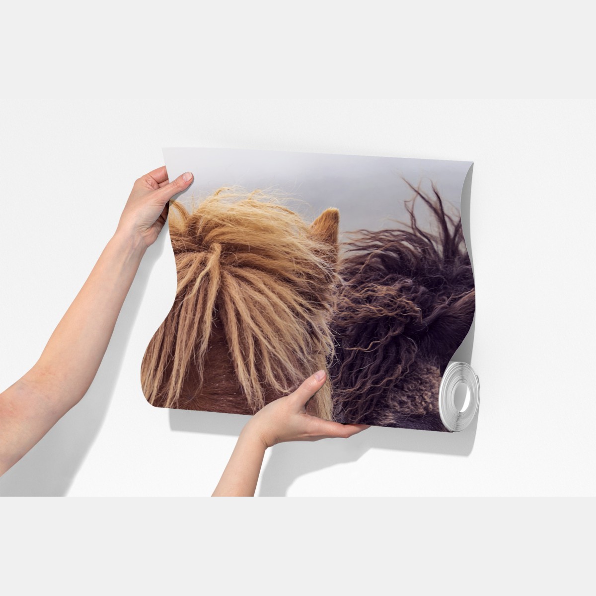 Fototapeta dwa konie na mglistym wzgórzu, Wyspy Owcze – Wallissimo® Fototapeta dwa konie na mglistym wzgórzu, Wyspy Owcze – Wallissimo®