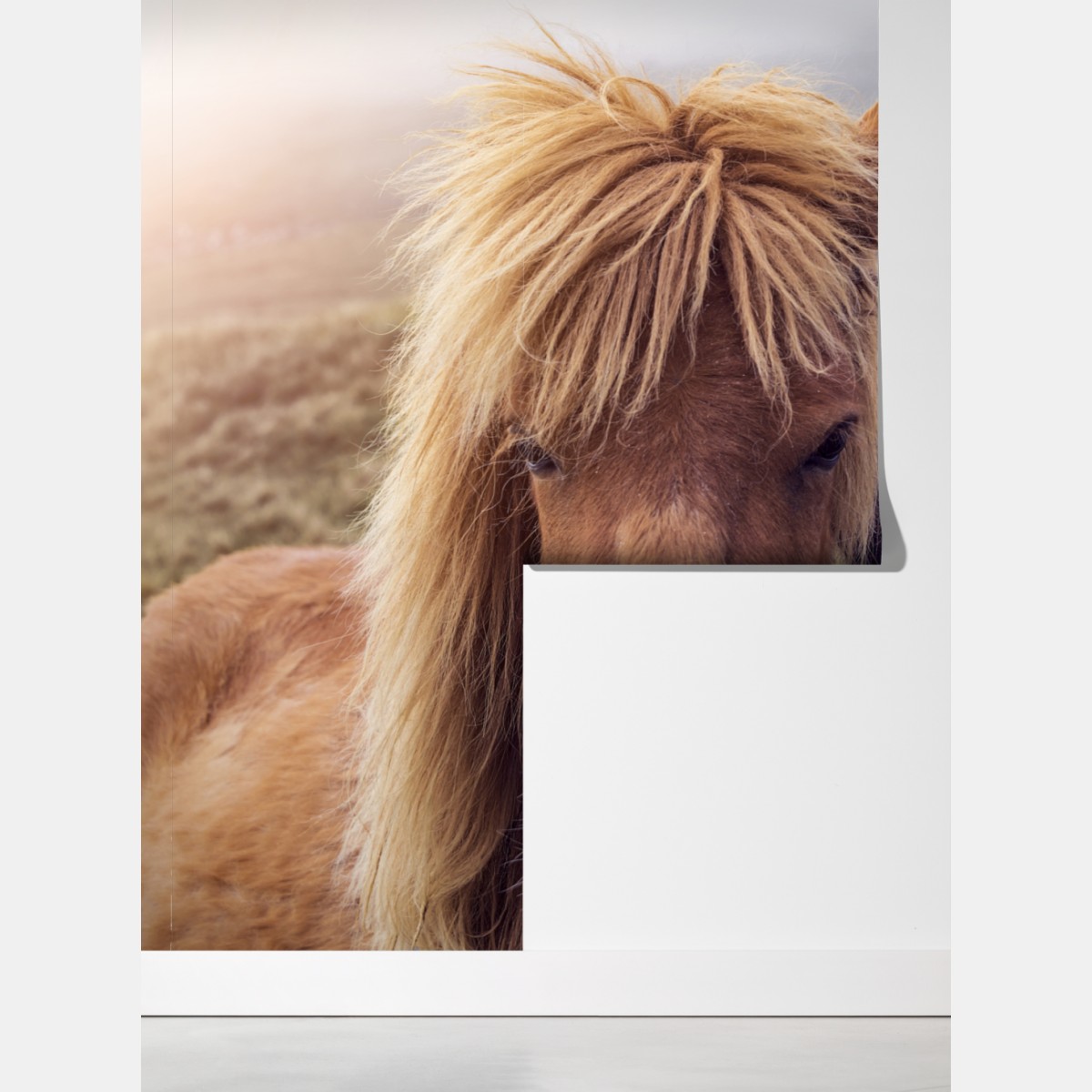 Fototapeta dwa konie na mglistym wzgórzu, Wyspy Owcze – Wallissimo® Fototapeta dwa konie na mglistym wzgórzu, Wyspy Owcze – Wallissimo®