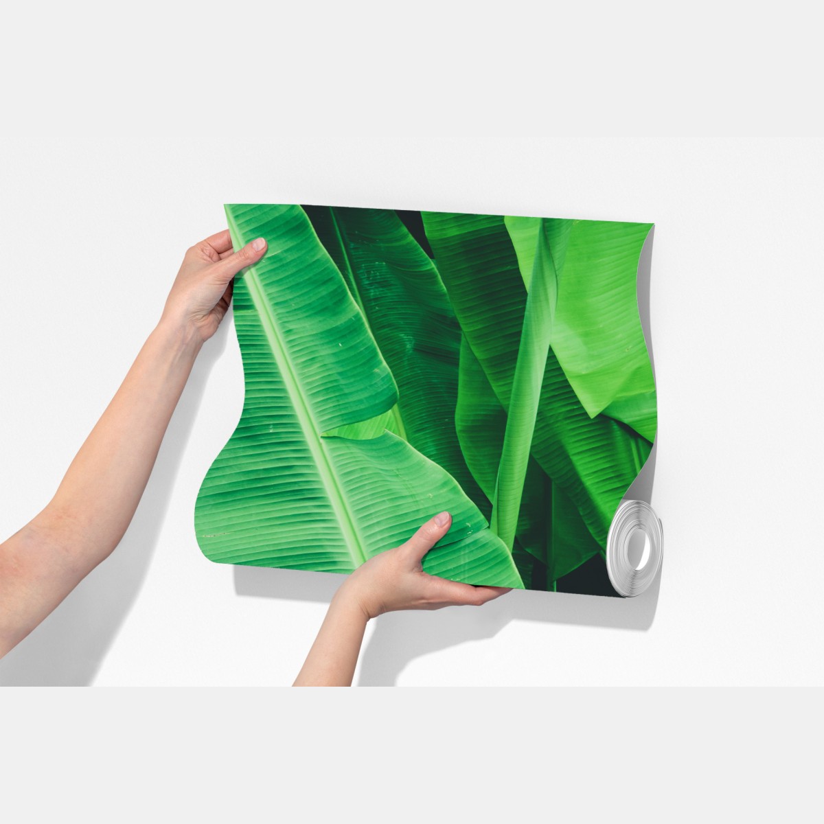 Fototapeta tropikalne liście bananowca – Wallissimo® Fototapeta tropikalne liście bananowca – Wallissimo®