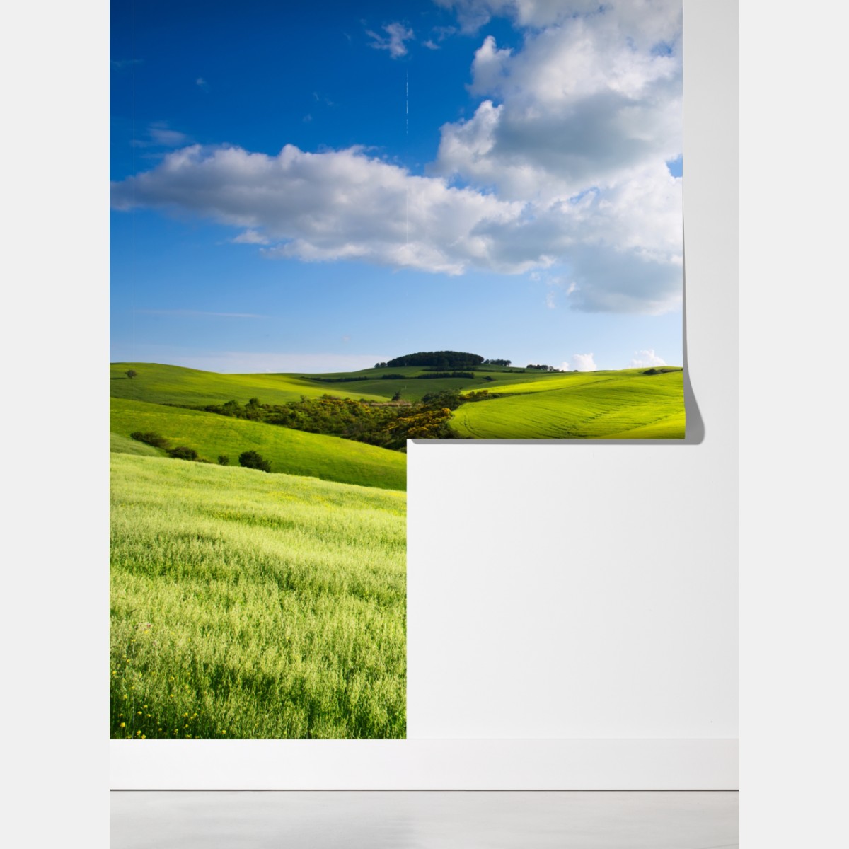 Fototapeta Toskania zielone wzgórza o zachodzie słońca – Wallissimo® Fototapeta Toskania zielone wzgórza o zachodzie słońca – Wallissimo®