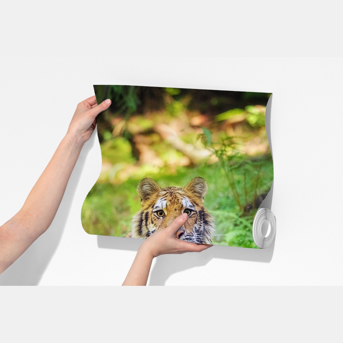 Fototapeta majestatyczny tygrys w leśnym strumieniu – Wallissimo® Fototapeta majestatyczny tygrys w leśnym strumieniu – Wallissimo®