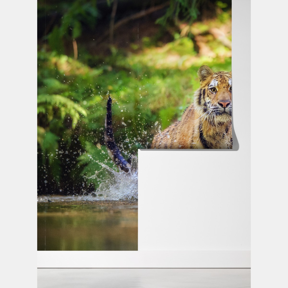 Fototapeta majestatyczny tygrys w leśnym strumieniu – Wallissimo® Fototapeta majestatyczny tygrys w leśnym strumieniu – Wallissimo®