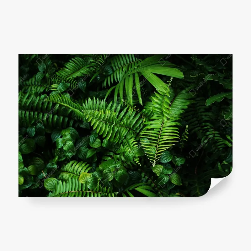 Fototapeta ilustrowana mapa Europy dla dzieci – Wallissimo®