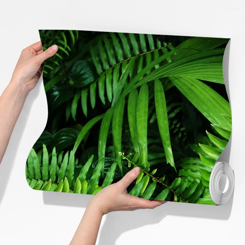Fototapeta bujne tropikalne liście paproci – Wallissimo® Fototapeta bujne tropikalne liście paproci – Wallissimo®