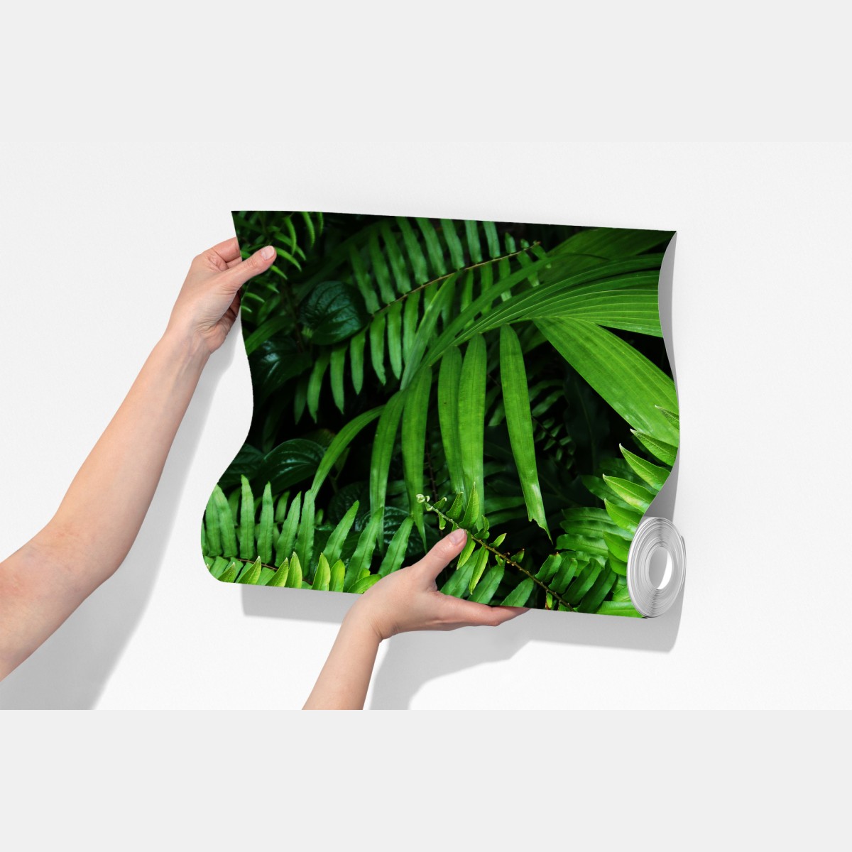 Fototapeta bujne tropikalne liście paproci – Wallissimo® Fototapeta bujne tropikalne liście paproci – Wallissimo®