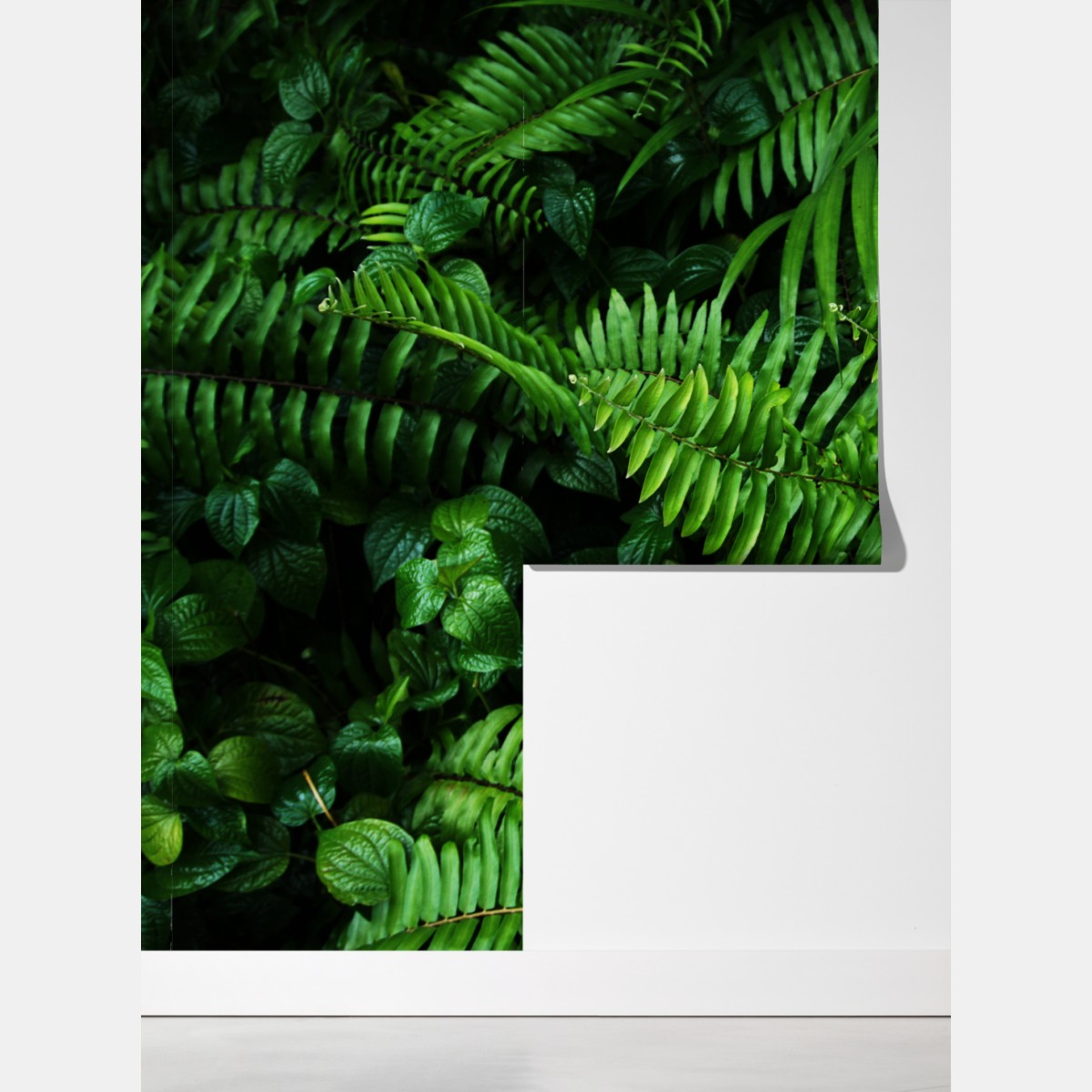 Fototapeta bujne tropikalne liście paproci – Wallissimo® Fototapeta bujne tropikalne liście paproci – Wallissimo®