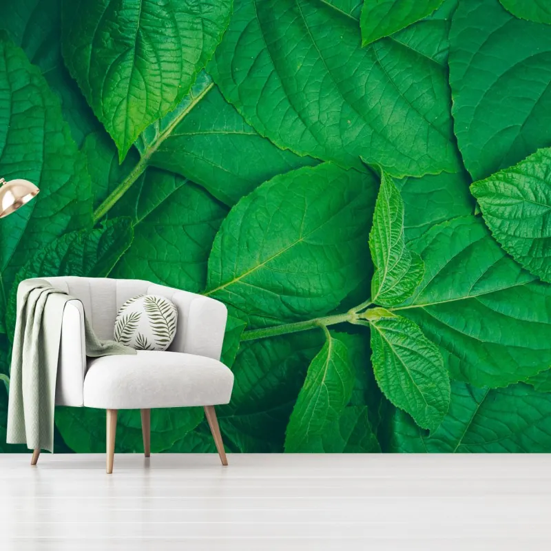 Fototapeta soczyste zielone liście