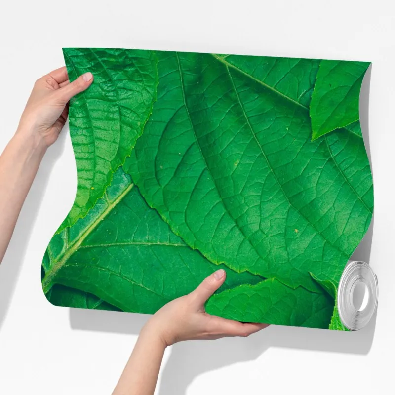 Fototapeta soczyste zielone liście – Wallissimo® Fototapeta soczyste zielone liście – Wallissimo®