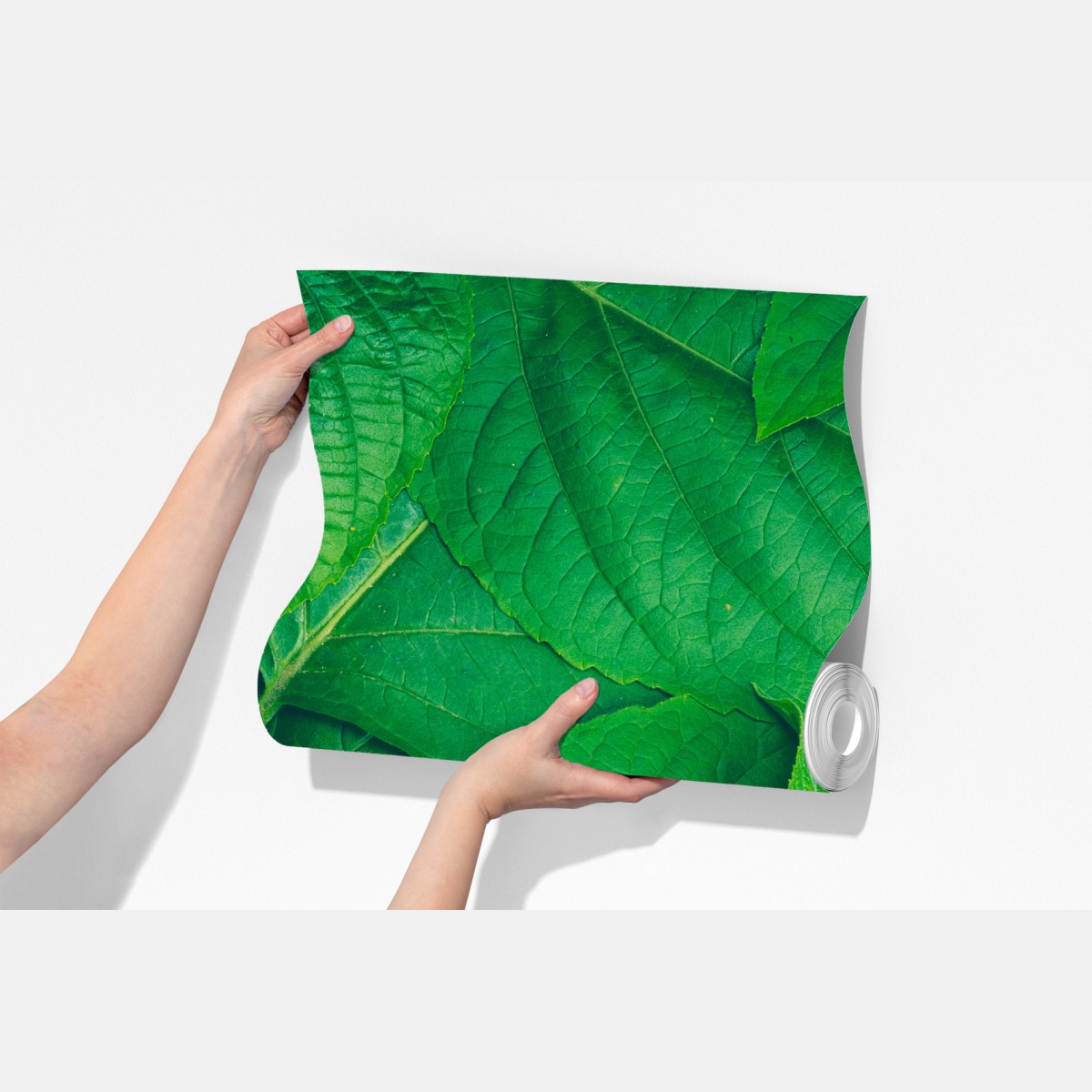 Fototapeta soczyste zielone liście – Wallissimo® Fototapeta soczyste zielone liście – Wallissimo®