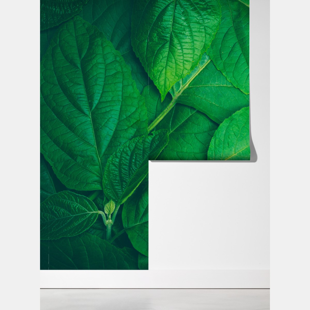 Fototapeta soczyste zielone liście – Wallissimo® Fototapeta soczyste zielone liście – Wallissimo®