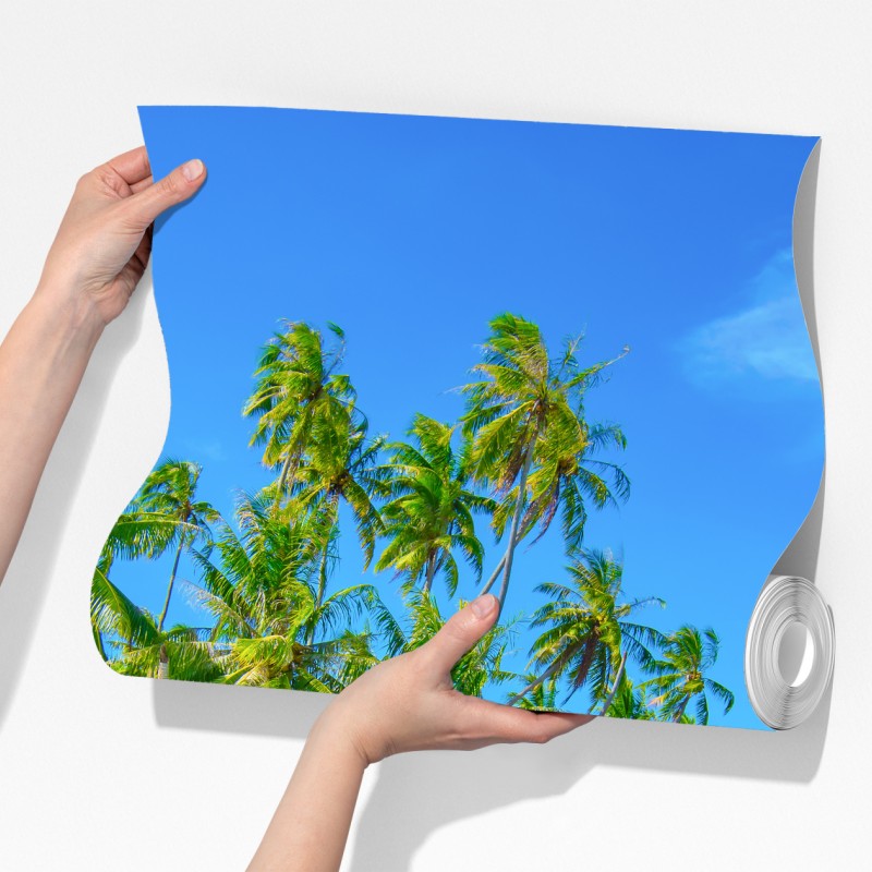 Fototapeta tropikalna plaża z palmami – Wallissimo® Fototapeta tropikalna plaża z palmami – Wallissimo®