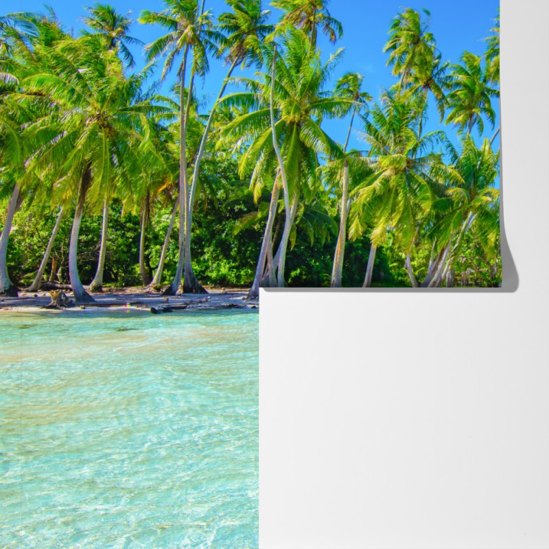 Fototapeta tropikalna plaża z palmami – Wallissimo® Fototapeta tropikalna plaża z palmami – Wallissimo®