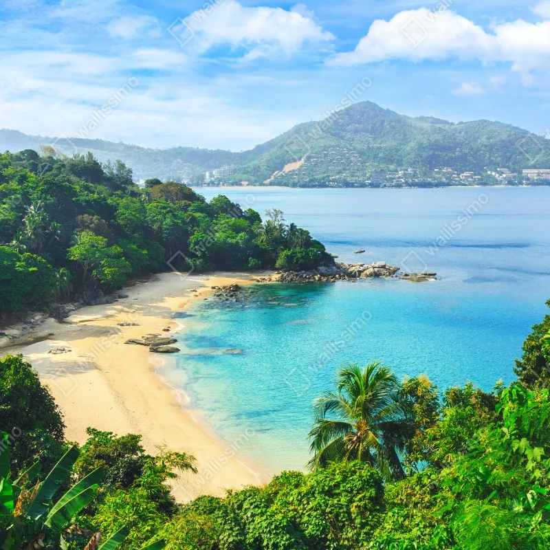 Fototapeta tropikalna turkusowa zatoka z palmami – Wallissimo® Fototapeta tropikalna turkusowa zatoka z palmami – Wallissimo®