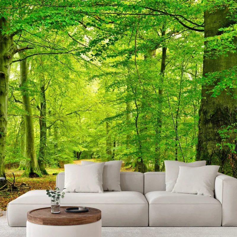 Fototapeta spokojna zielona leśna ścieżka