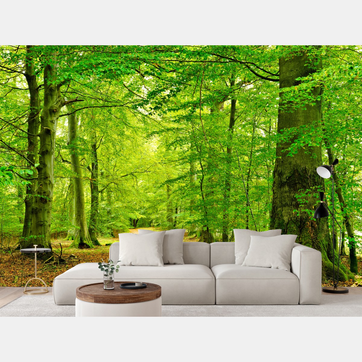 Wall mural serene green forest pathway
