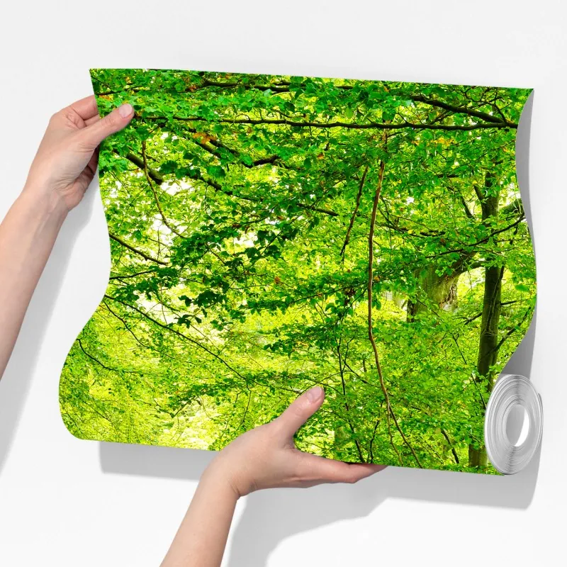 Fototapeta spokojna zielona leśna ścieżka – Wallissimo® Fototapeta spokojna zielona leśna ścieżka – Wallissimo®