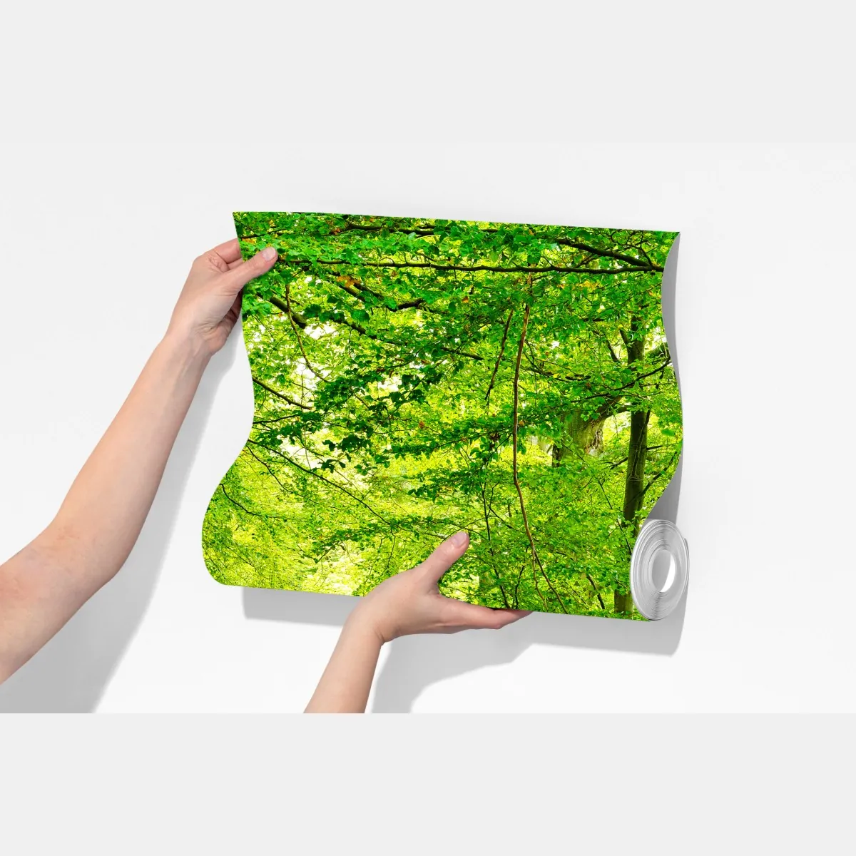 Fototapeta spokojna zielona leśna ścieżka – Wallissimo® Fototapeta spokojna zielona leśna ścieżka – Wallissimo®