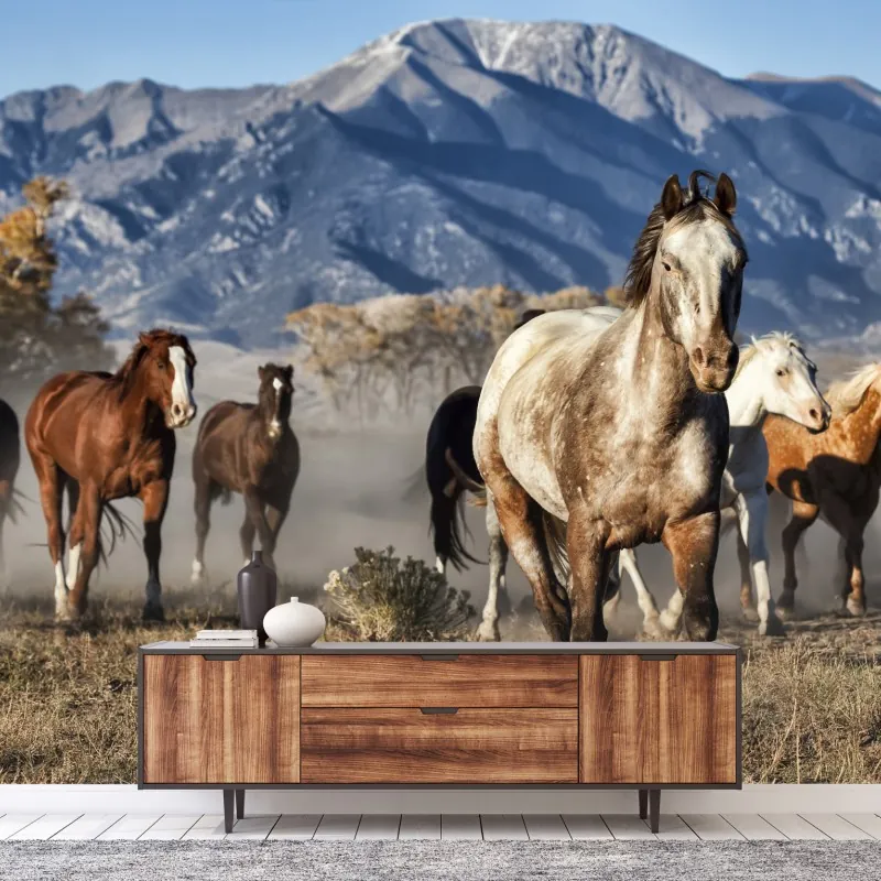 Fototapeta dzikie konie galopujące po górskiej łące