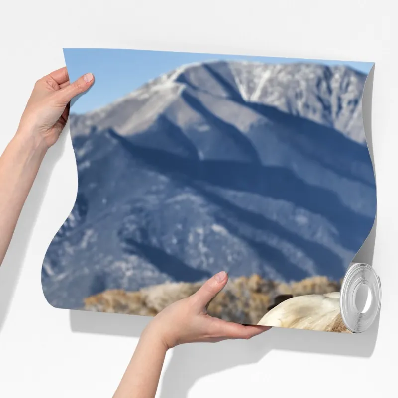 Fototapeta dzikie konie galopujące po górskiej łące – Wallissimo® Fototapeta dzikie konie galopujące po górskiej łące – Wallissimo®