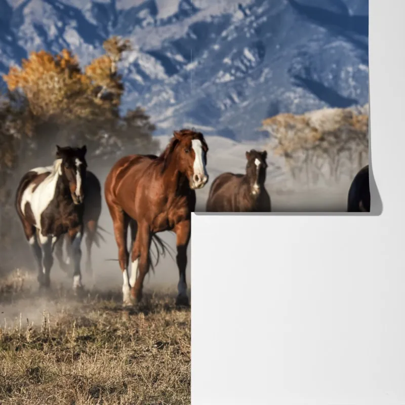 Fototapeta dzikie konie galopujące po górskiej łące – Wallissimo® Fototapeta dzikie konie galopujące po górskiej łące – Wallissimo®