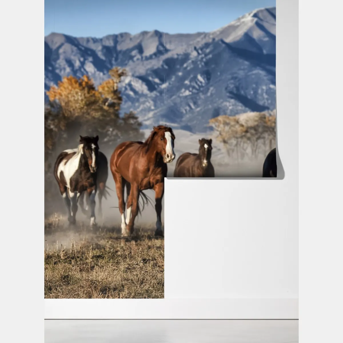 Fototapeta dzikie konie galopujące po górskiej łące – Wallissimo® Fototapeta dzikie konie galopujące po górskiej łące – Wallissimo®