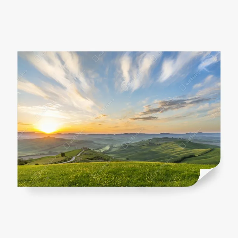 Fototapeta spokojna leśna kładka – Wallissimo®