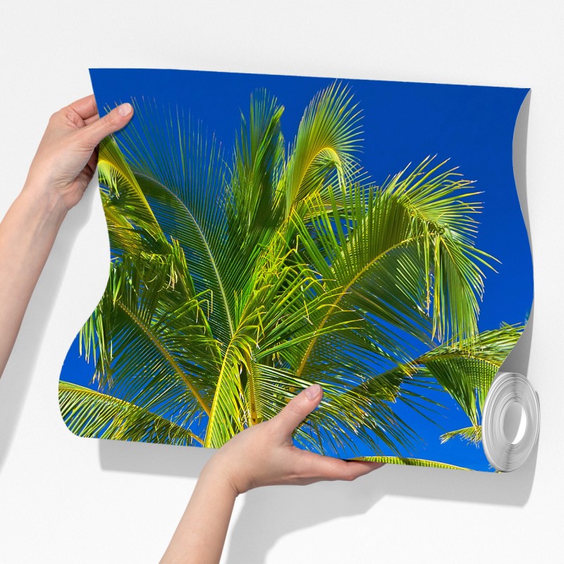 Fototapeta Morze Andamańskie tropikalna plaża z pochyloną palmą – Wallissimo® Fototapeta Morze Andamańskie tropikalna plaża z pochyloną palmą – Wallissimo®