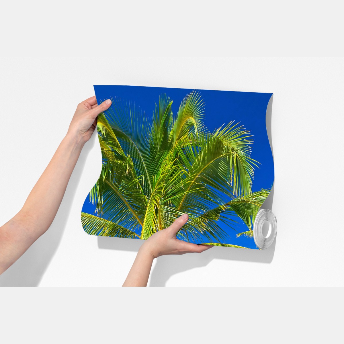 Fototapeta Morze Andamańskie tropikalna plaża z pochyloną palmą – Wallissimo® Fototapeta Morze Andamańskie tropikalna plaża z pochyloną palmą – Wallissimo®