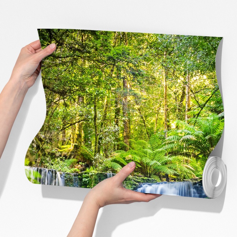 Fototapeta bujny wodospad w Mt Field National Park, Tasmania – Wallissimo® Fototapeta bujny wodospad w Mt Field National Park, Tasmania – Wallissimo®